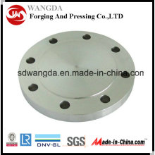 Pl Carbon & Stainless Steel Forged Plate Flange En1092-1 Pn6 Type01